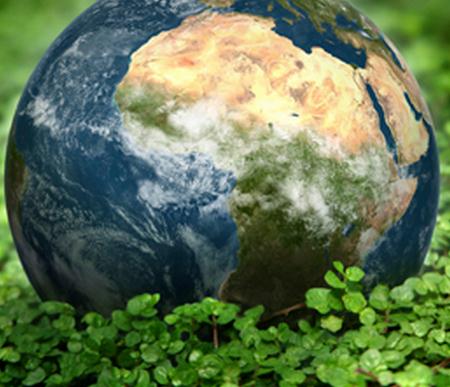 Environmental-Engineering-jobs.jpg